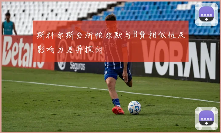 斯科尔斯分析帕尔默与B费相似性及影响力差异探讨